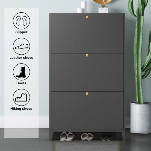 Merritt Shoe Cabinet (Black)