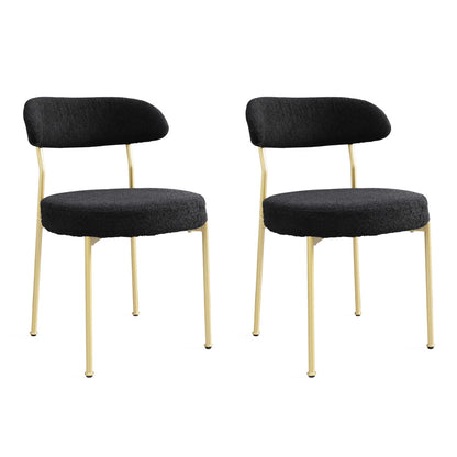 Amari Dining Chair, Set of 2 (Black+Gold)