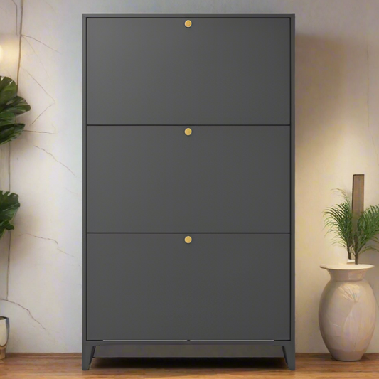 Merritt Shoe Cabinet (Black)